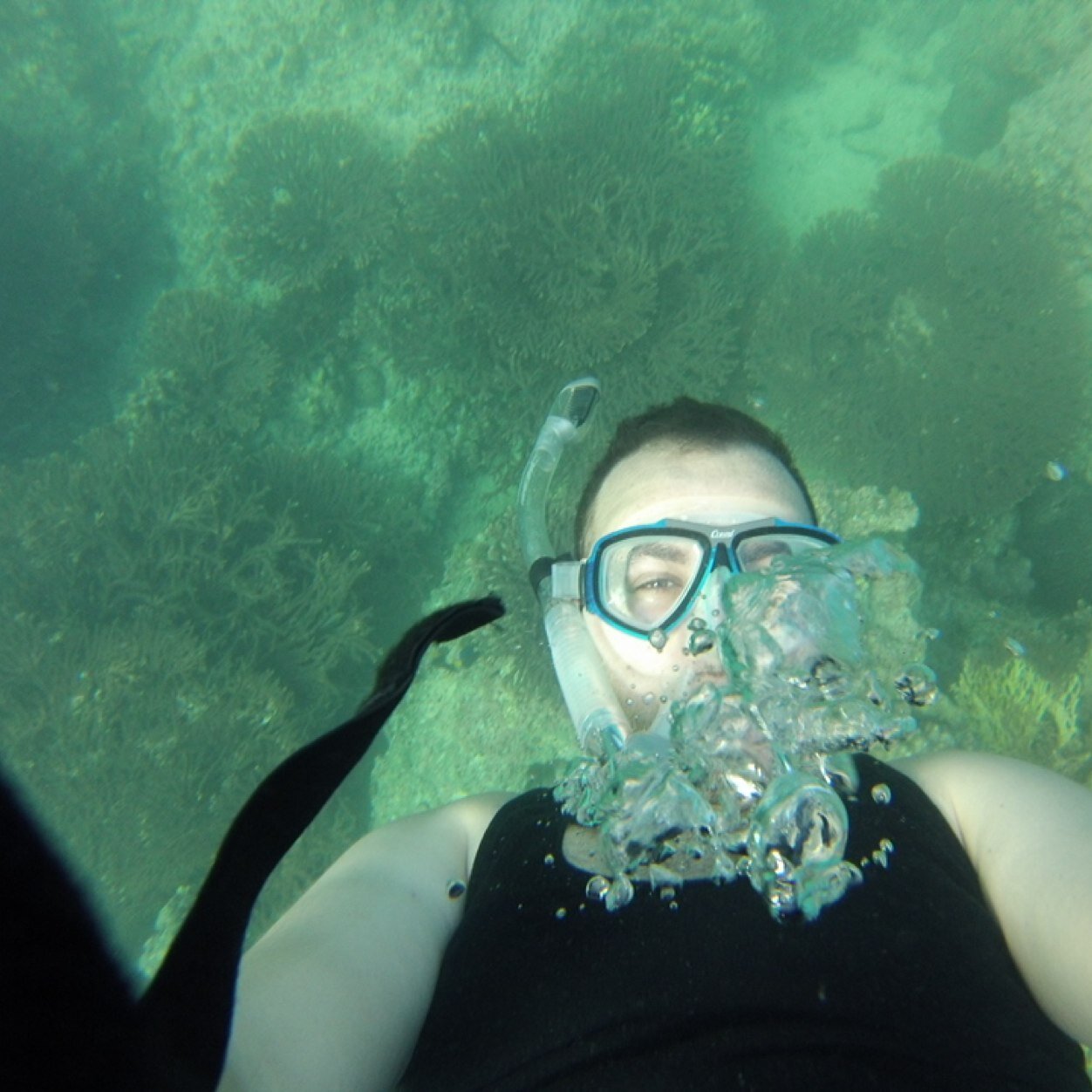 Dali788's profile picture. In search for a new home, underwater.