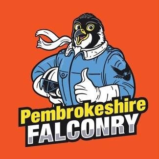 Visit Wales - Best Activity in West Wales 2018. The fun way to meet & fly birds of prey yourself. Based at The National Botanic Garden of Wales 🏴
