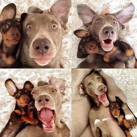 goodtwoshoes12's profile picture. 