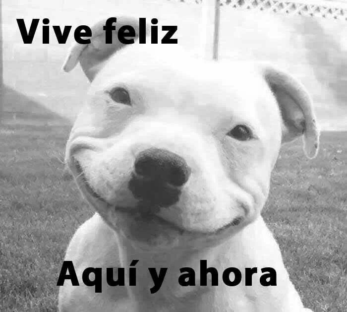 LO NIEGO TODO, INCLUSO LA VERDAD