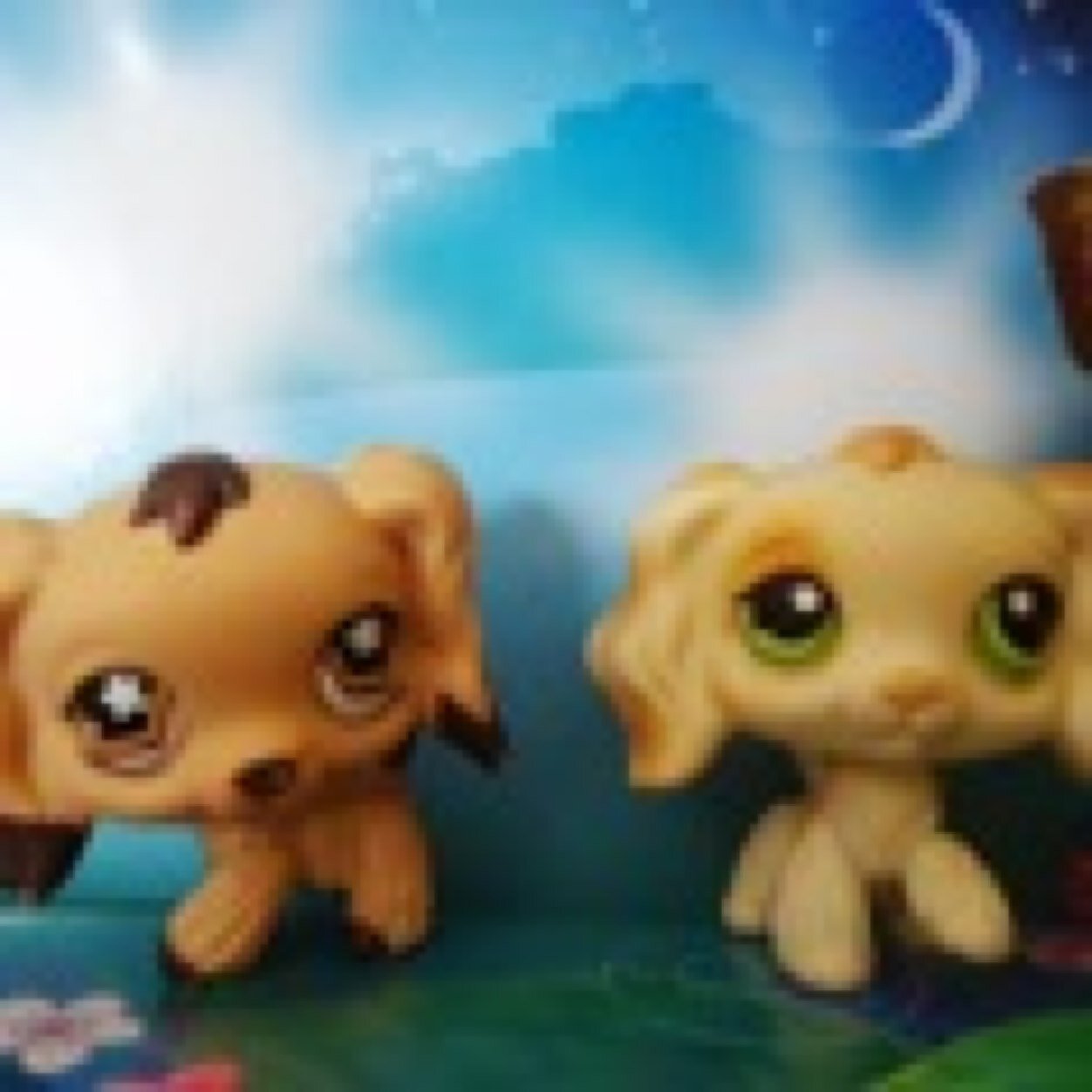 KariLPS's profile picture. 