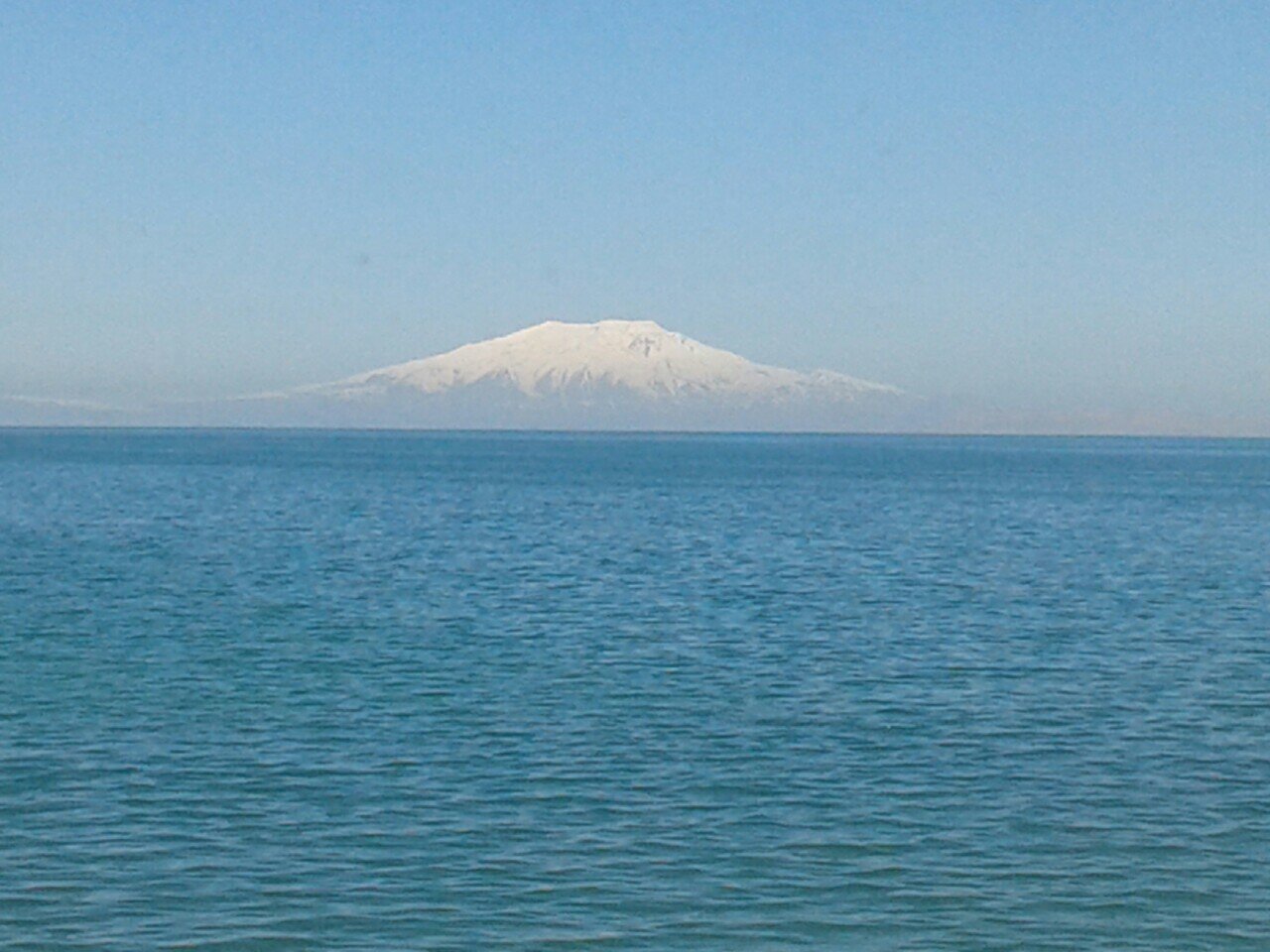 sosyoloji