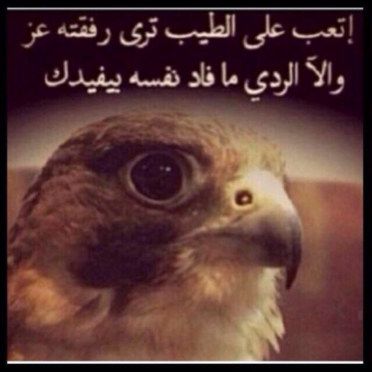 ‏‏ﷺ
