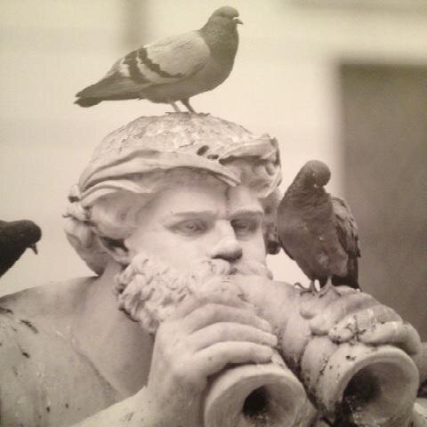 ESMSunridge's profile picture. Home of the All-You-Can-Eat salad, soup and garlic bread! Located in the heart of NE Calgary, across from @SunridgeMall.