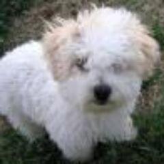 tammy842's profile picture. Watches http://t.co/wIXesK4SEY