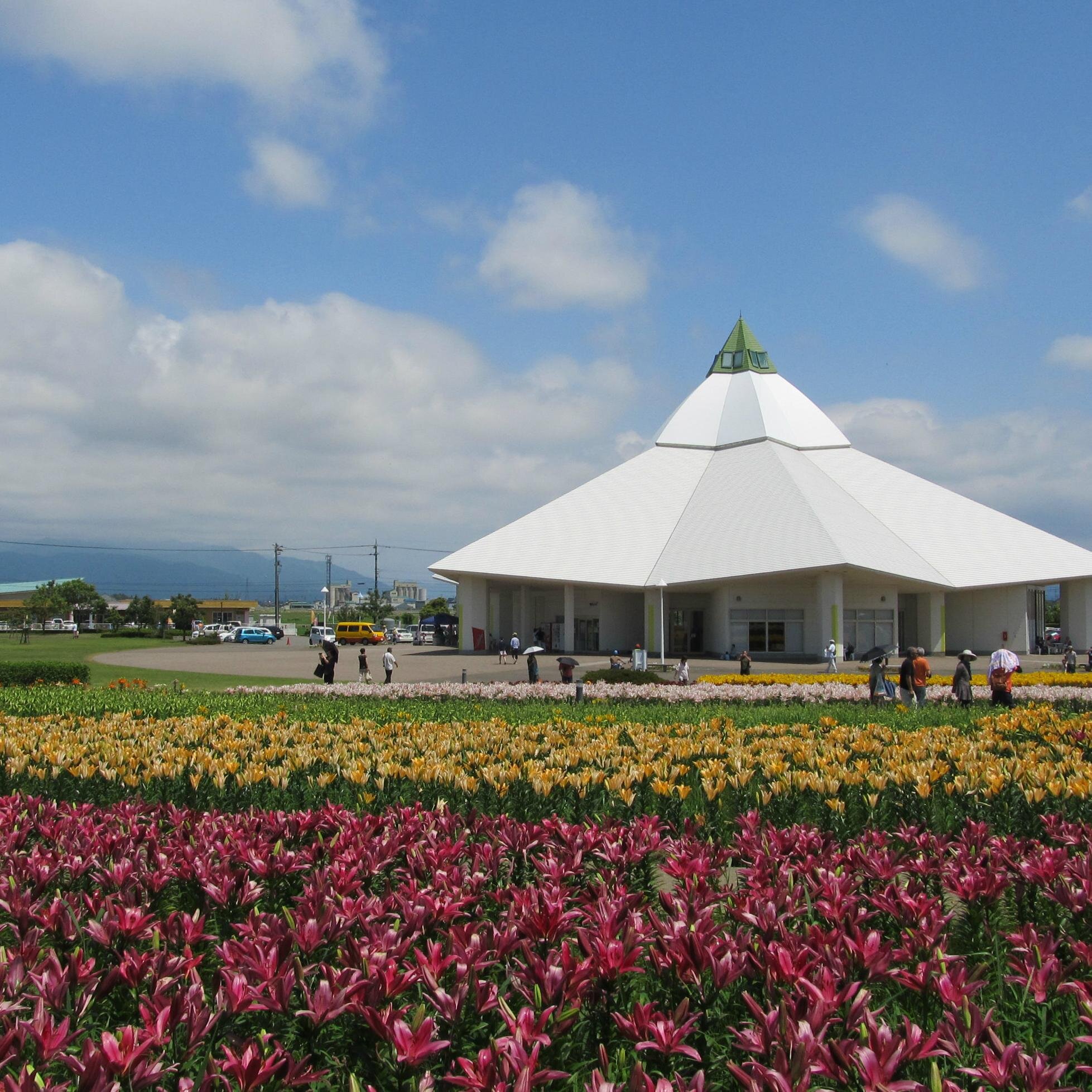 福井県坂井市春江町にある「ゆりの里公園」です。
毎年6月には、15万輪のゆりの花が咲き誇り、6月の1ヶ月間「ゆりフェスタ」を開催します。
ゆりの里公園からのお知らせや日々の様子をつぶやく予定です。