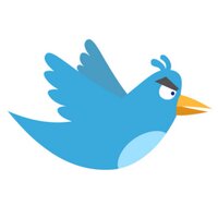 Rant Bird (@rant_bird) 's Twitter Profile