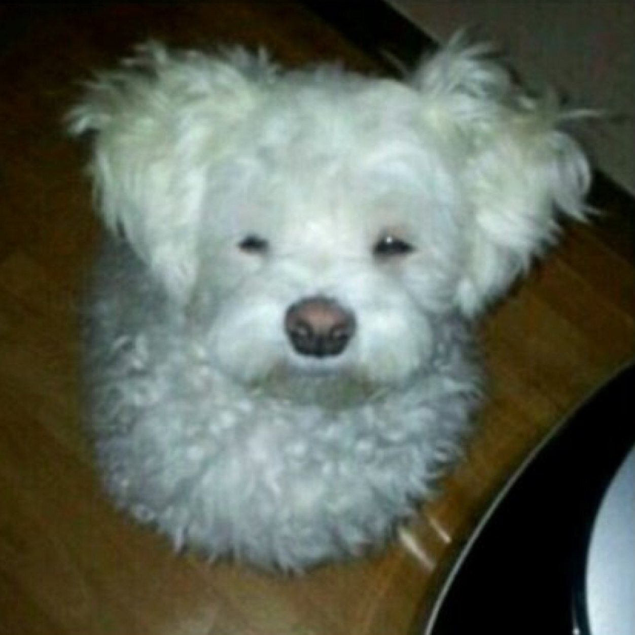 tkdnwkwjsxnek's profile picture. 개소리,뻘소리,헛소리하려고 만든 계정 맘에들지 않으시면 블락을 하셔도 됩니다~