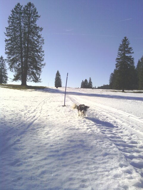 thegorgeousgus's profile picture. Given pretty much anything.Or is it pretty much anything is a given.