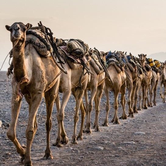 AggloTransport's profile picture. Журнал о том, как обеспечить повседневную мобильность.