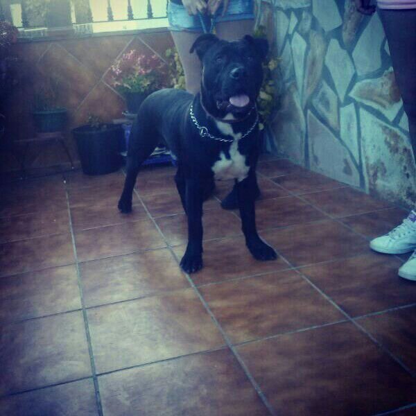 Domingo91976713's profile picture. 