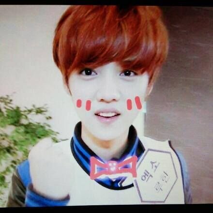 “ HAHAHAHAHAHAHA fck u ‏”