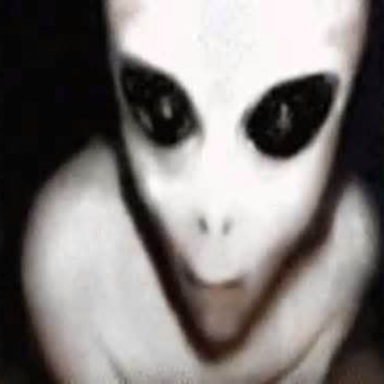 kin_jeremy's profile picture. Have a good time