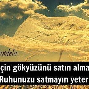 hayvansever