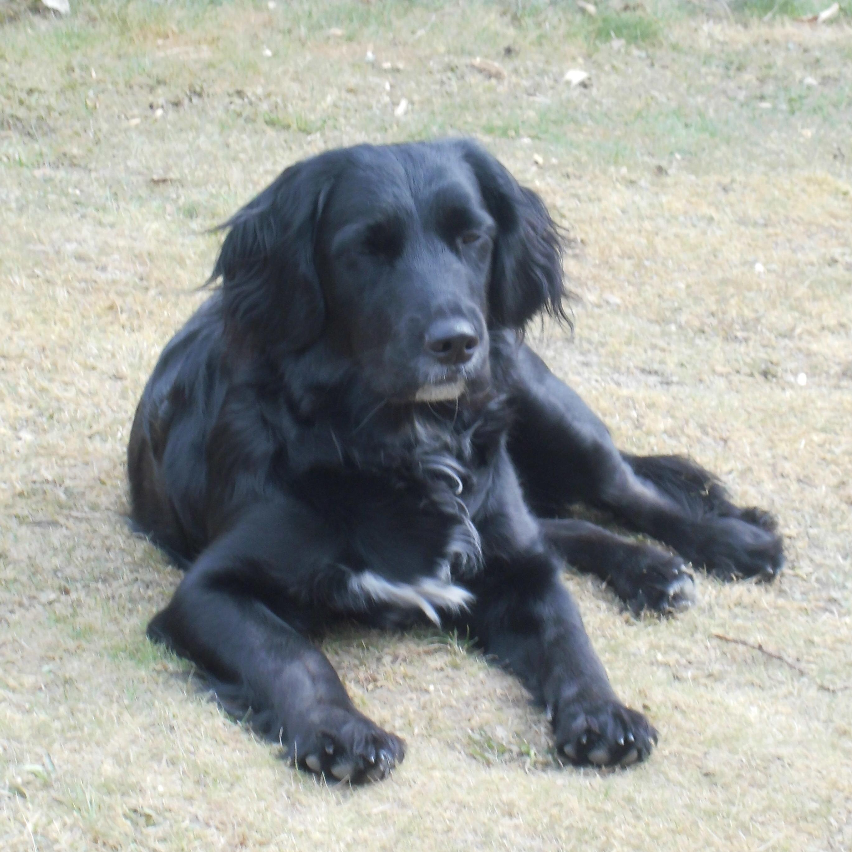 carine87046993's profile picture. 