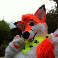 FONDY @MFF @NFC @ Awoostria (@swisshusky) 's Twitter Profile Photo