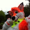 swisshusky's profile picture. telegramm: @FondySwiss