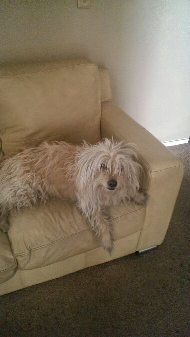 SmithSs112's profile picture. my whole M..O..is to support people...