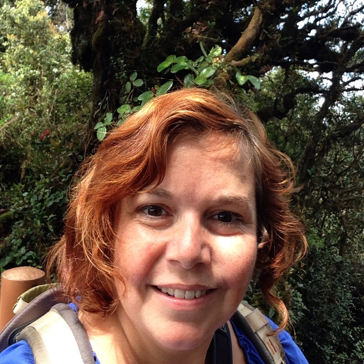 wvoorn's profile picture. OTC adviseur, projectleider, Visio International  @konvisio | theater minner en maker | love fotografie en reizen