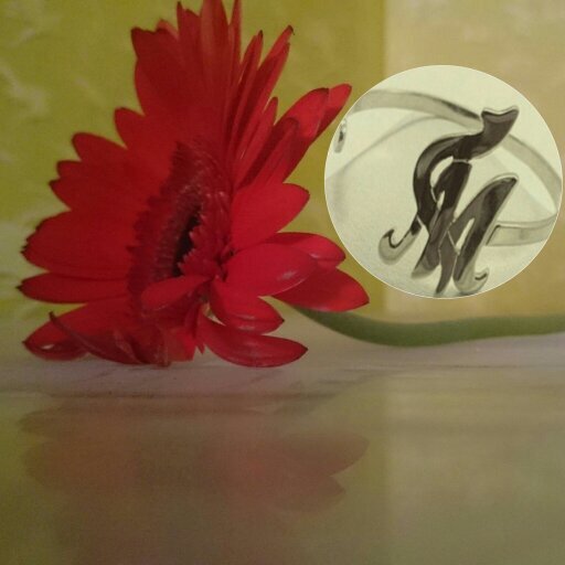 ‏‏‏‏‏‏‏‏سلطنة قابوس;;عبري♥