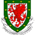 Welsh Football News (@footballwales) Twitter profile photo