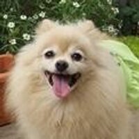 松原貴弘 (@tatara54) Twitter profile photo