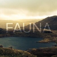 Fauna (@faunaband) 's Twitter Profile