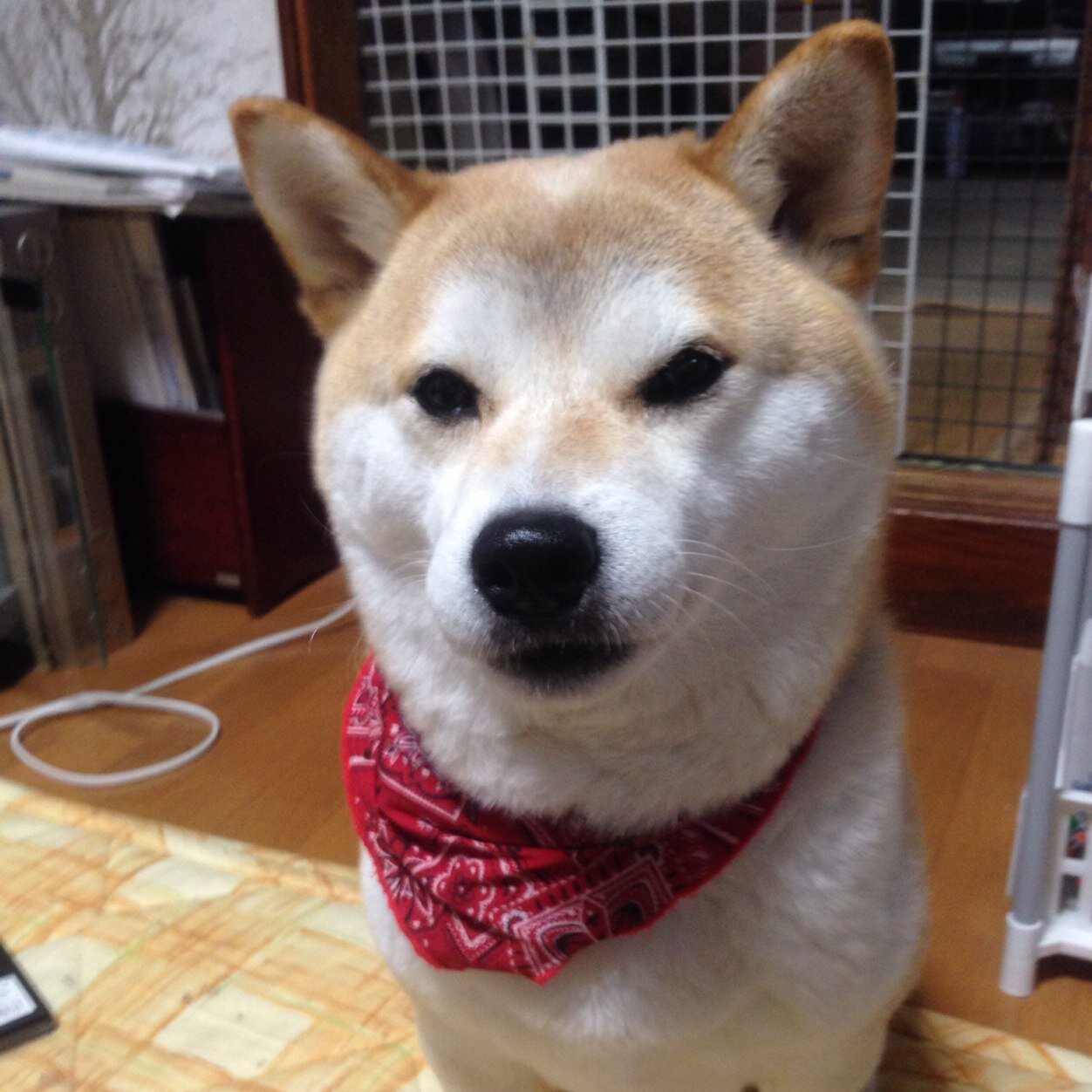 hati_0211's profile picture. 