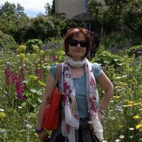 Vita Velox (@vvelox) 's Twitter Profile