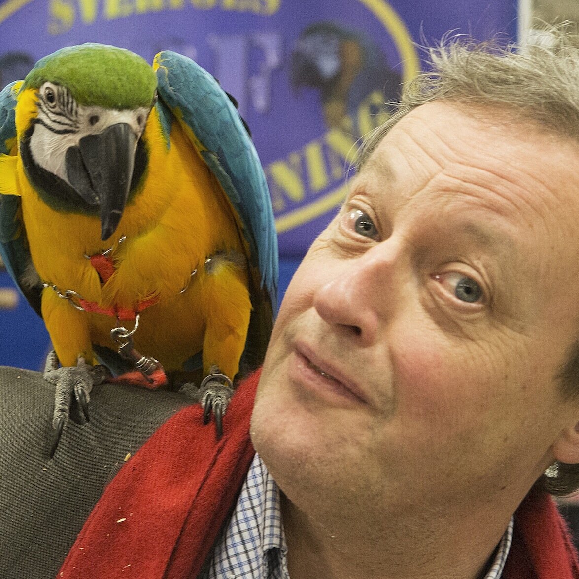 TommySchonstedt's profile picture. Former journalist Expressen Stockholm Sweden