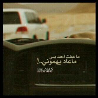 0af24e15e6d4470's profile picture. 