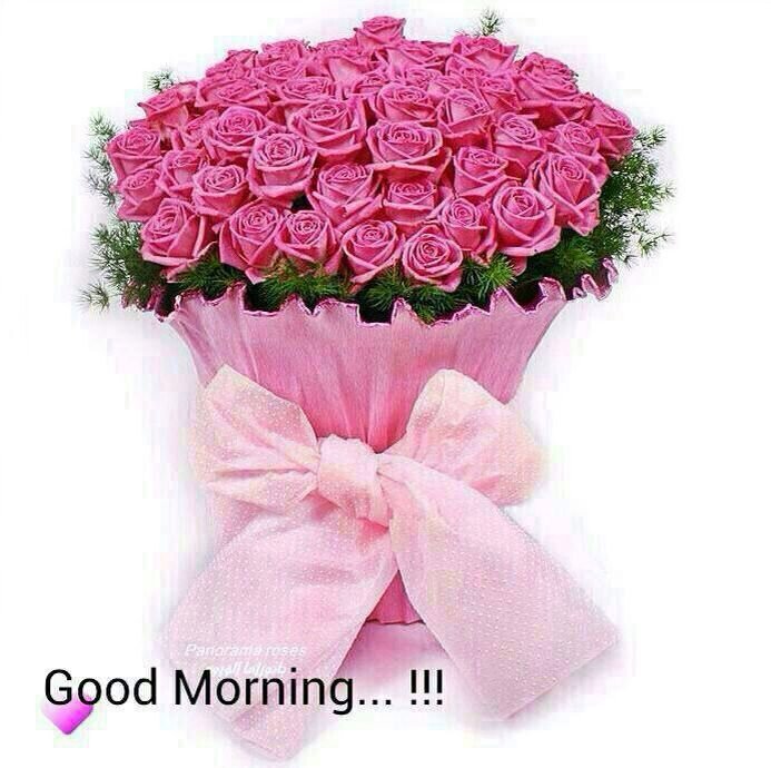 kalaiwalahumer1's profile picture. 