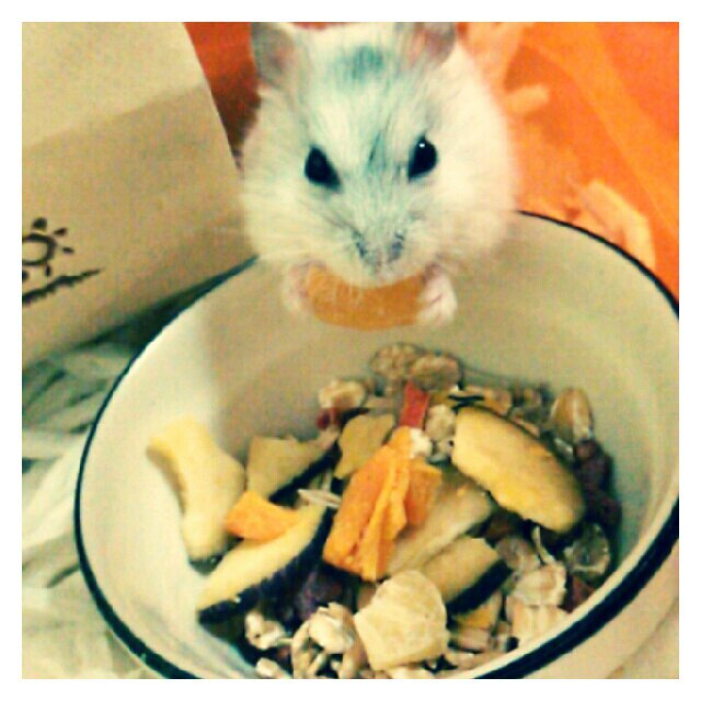お腹痛くなる季節だね( ´ ▽ ` )ﾉ