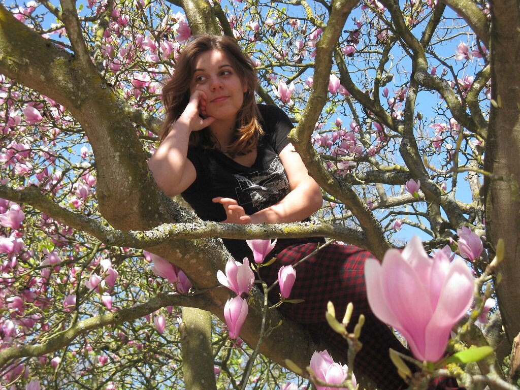 ChloKloala's profile picture. 