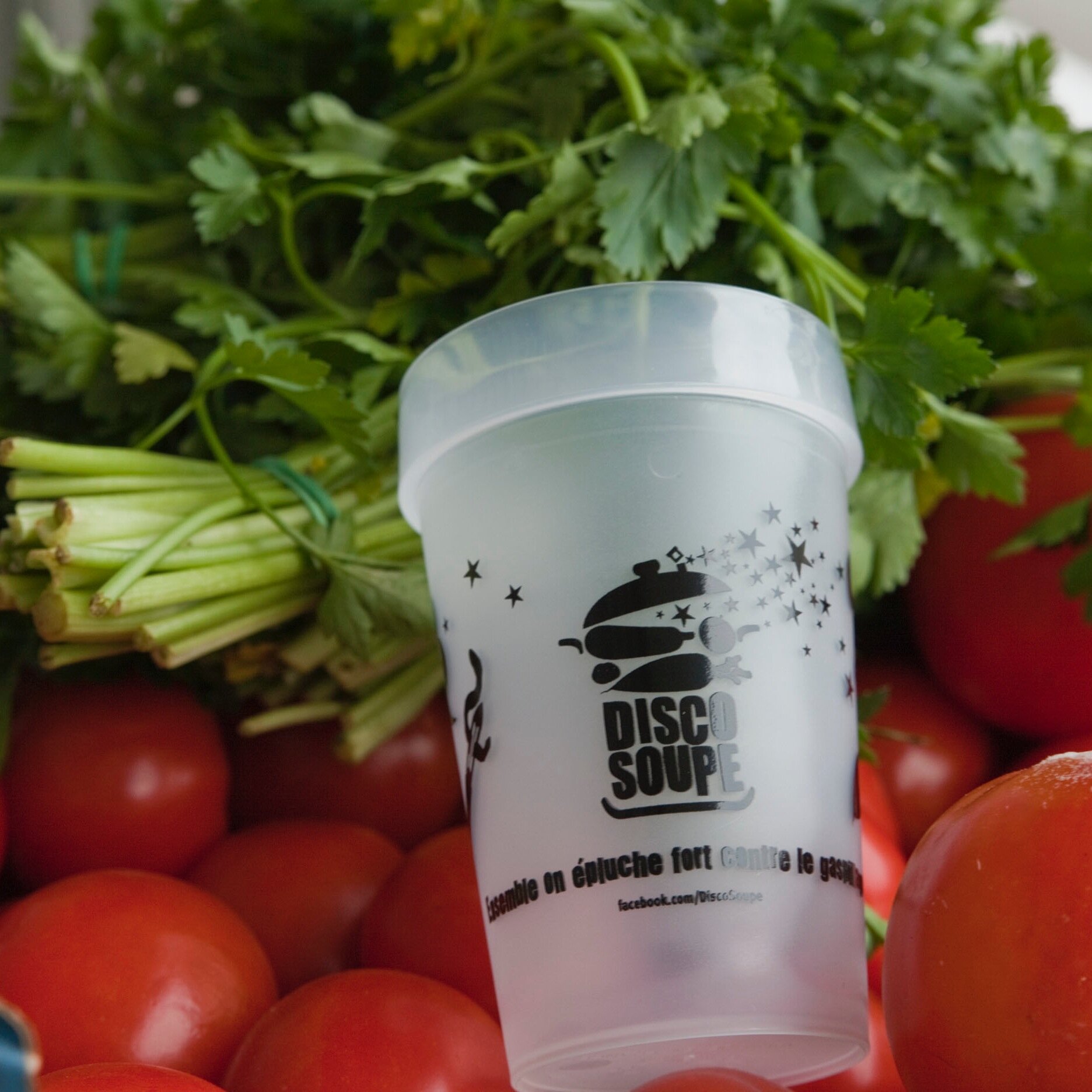 DiscoSoupeBx's profile picture. Découvrez le phénomène #DiscoSoupe à #Bordeaux ! Des événements tous les mois épluche, si affinité ! ARE U RADIS ?