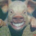 Rachel Muller - @clochach - Twitter