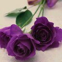 سلاف ابو شهدة (@0991218123a) Twitter