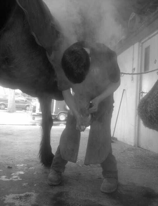 farrier