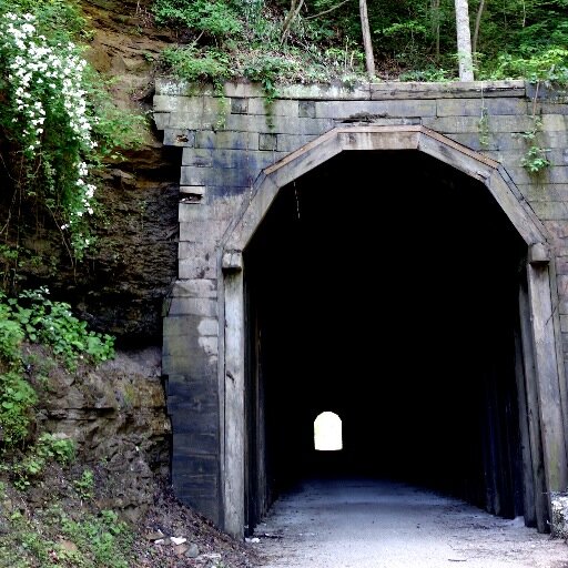 We are a support group for the Dawkins Line Rail Trail, a multi-use bike, horseback and hiking trail in EKY.