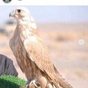 خالد 900 (@5967ecf094dc4c0) Twitter