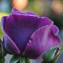 abhijit jain - @abhijitjain5 - Twitter