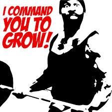 Bodybuilding gym