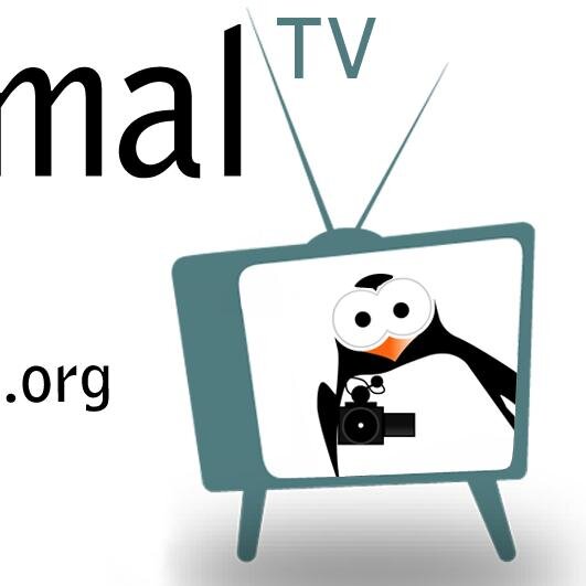 Fondateur et directeur de la web tv Anonymal télé locale participative