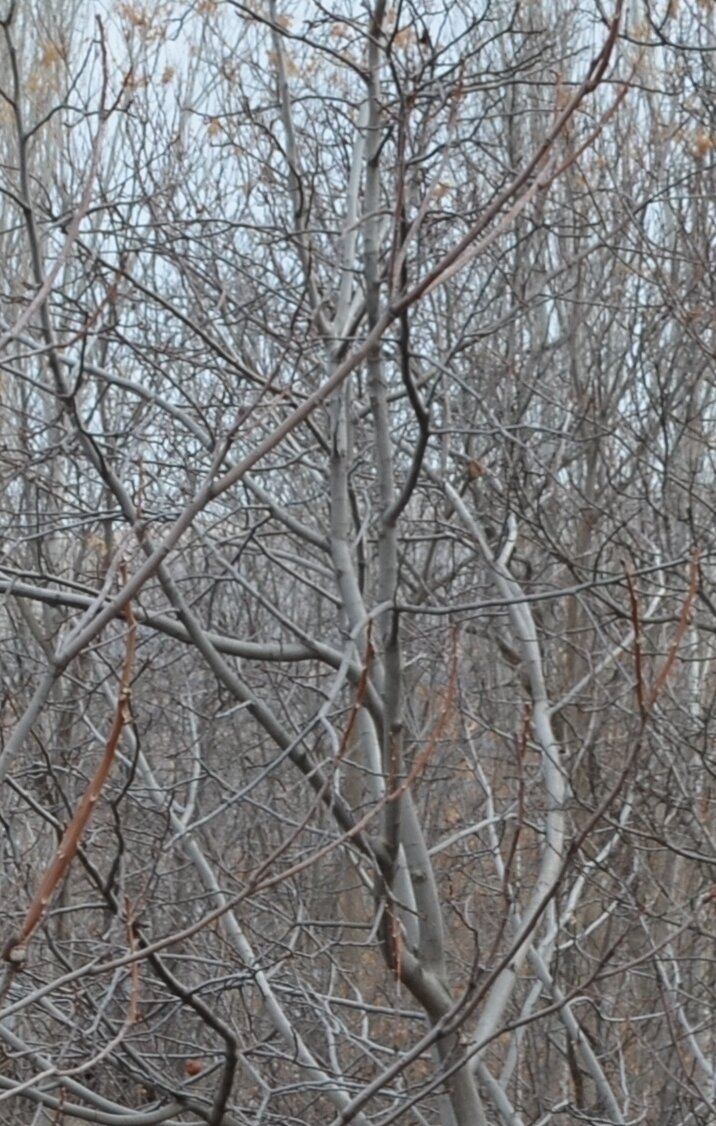 axpuar's profile picture. 