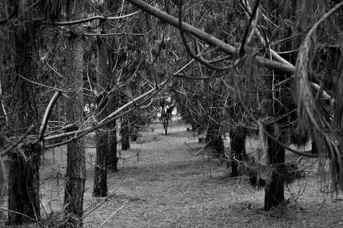 Sophie Bywater Photography.  All prints are available as posters, canvases, mugs, anything you'd like, so please ask.