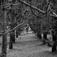 Sophie Bywater (@sophiesphoto) 's Twitter Profile