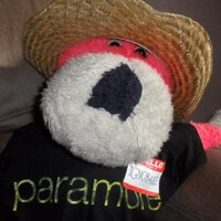 Darren Stockdale (@darrenstockdale) Twitter profile photo