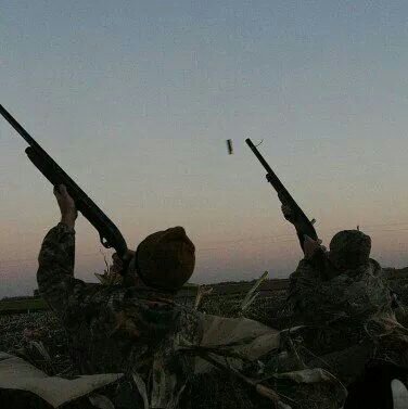 Thibodeau2787's profile picture. Passionate about the outdoors, wildlife conservation and its management. keep our woods, lakes, streams clean - we're the only hope for their future existence.