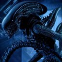 Greg Collins - @GregCol92299 - Twitter