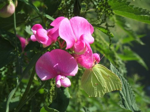 LimousinLife's profile picture. News, advice, information and fun and readable features for the English-speaking expat community living in the Limousin region of France.